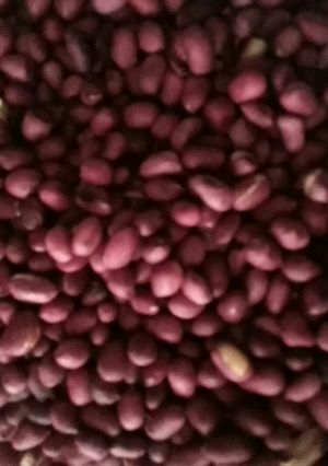 A picture of Fried groundnuts.