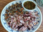 Gambar isi kerang sotong