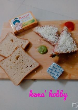 મિક્સ વેજ ટોસ્ટ સેન્ડવીચ (Mix Veg Toast Sandwich Recipe In Gujarati) રેસીપી મુખ્ય ફોટો