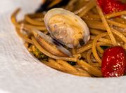A picture of clams and mussels