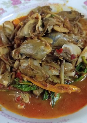 รูปของ ผัดฉ่าหอยกาบ