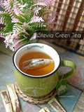 Stevia Green Tea