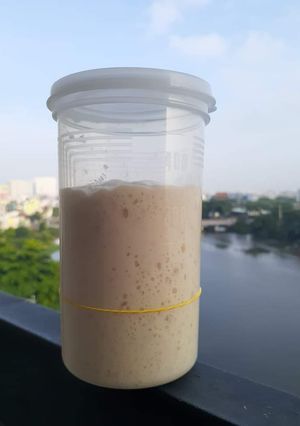 Hình của món Men tự nhiên Sourdough starter.