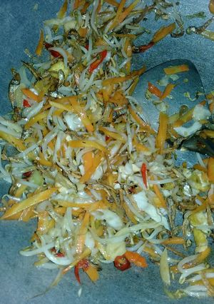Foto resep Tumis Tauge Wortel Kol Teri