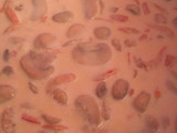 Crema de camarones con hongos 
