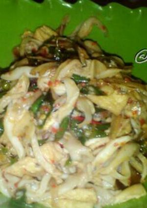 Foto resep Tumis jamur tiram + tahu