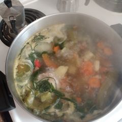 A picture of Chicken and vegetable soup.