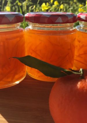 Una foto de Mermelada de naranjas 🍊 amargas, casera