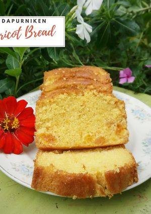 Foto resep Apricot Bread