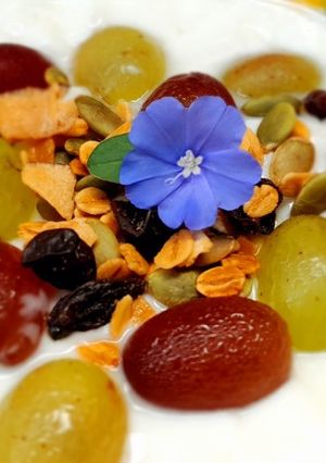 Hình của món Granola sữa chua nho.