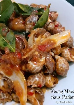 Foto resep Keong Macan Saus Padang