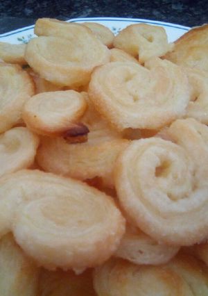Una foto de Amonites (semipalmeritas)