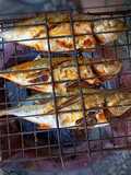 Ikan selar bakar dengan arang