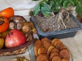 فلافل خوشمزه خونگی با ادویه مخصوص