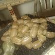 Butifarra de pollo y carne vacuno