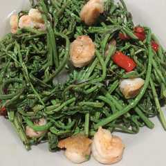 รูปของ Pakis cah udang