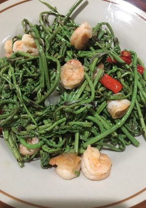 Foto resep Pakis cah udang
