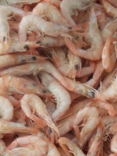 Una foto de Gambita hervida de Huelva