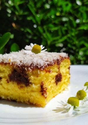 Fakanalas sütemény 🥥 recept fotója