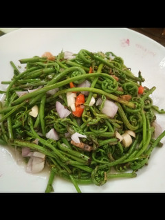 Foto resep Tumis pakis ebi