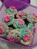 Cookies Rainbow SEMPRIT (kue lebaran)