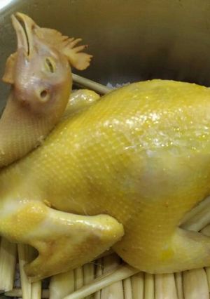 Hình của món Gà hấp muối sả.