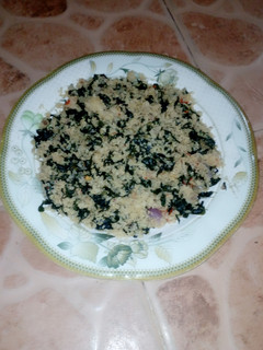A picture of Dambun cus cus.