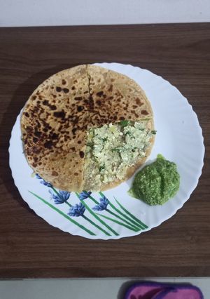 આલુ પનીર પરોઠા (Aloo Paneer Paratha Recipe In Gujarati) રેસીપી મુખ્ય ફોટો