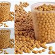 Kacang polong goreng renyah dan gurih