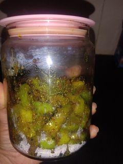 मोटी मिर्च का आचार(moti mirch ka achar recipe in hindi) रेसिपी मुख्य फोटो