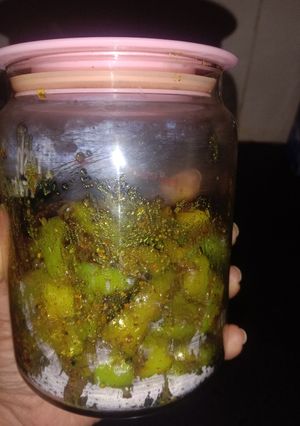 मोटी मिर्च का आचार(moti mirch ka achar recipe in hindi) रेसिपी मुख्य फोटो