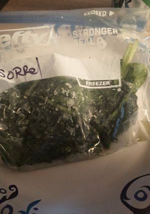 A picture of Salted Sorrel Preservation.