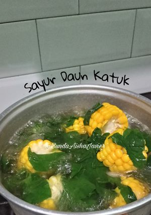 Foto resep Sayur Daun Katuk