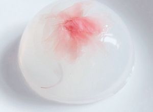 Hình của món Mochi Giọt nước Hoa anh đào Nhật Bản(Ăn như thạch vậy 😂).