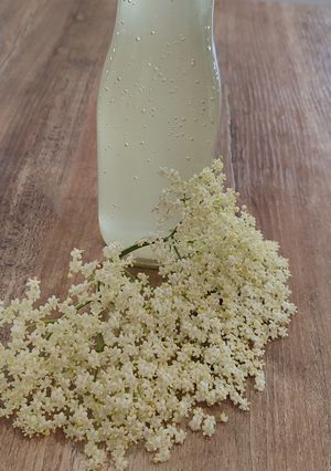 Une photo de Sirop de fleur de sureau