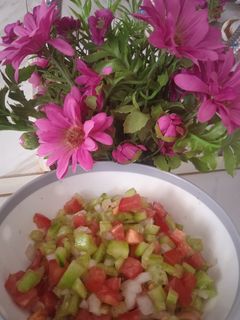 عکسی از دستور سالاد شیرازی
