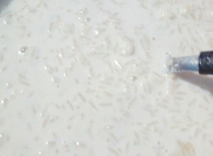 Una foto de Arroz con leche 🍚 fácil rápido y cremoso 👌 voy