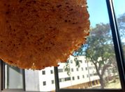 Una foto de arepas de yuca