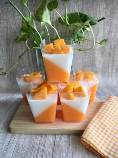 Foto resep Puding Yogurt Mangga