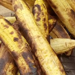 A picture of Grilled unripe plantain.