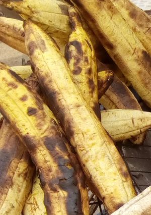 A picture of Grilled unripe plantain.