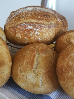 Una foto de Hogaza de pan y 5 panecillos de trigo blanco y masa madre