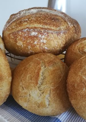 Foto principal de Hogaza de pan y 5 panecillos de trigo blanco y masa madre