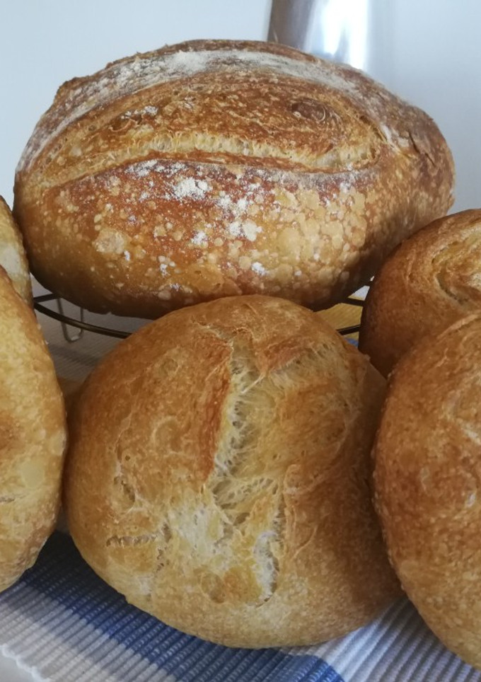 Una foto de Hogaza de pan y 5 panecillos de trigo blanco y masa madre