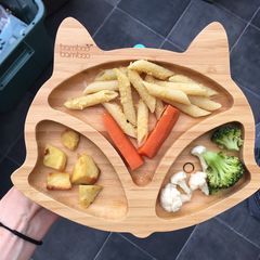 Baby finger food plate A picture of Baby finger food plate.