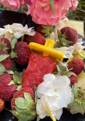 A picture of Strawberry Popsicles.