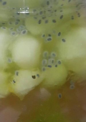 Foto resep Es Buah Sederhana