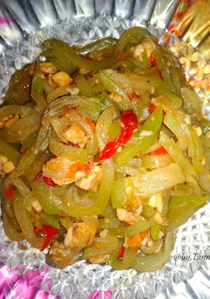 Foto resep Tumis Labu Siam Tempe