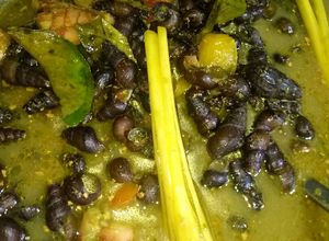 Foto resep Tutut bumbu kuning uendes 😋😋😋 (tengkuyung)