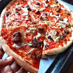 A picture of Cheeseless pizza2.